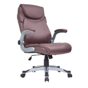 Sillón Pdte. ALBERT